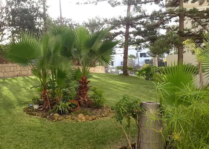 アパート Lovely 1-bedroom With A Big Terrace, Americas, Tenerife