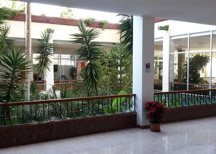 公寓 Lovely 1-bedroom With A Big Terrace, Americas, Tenerife 阿罗纳